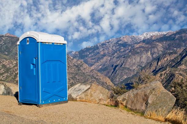 Best Affordable porta potty rental  in Fox River Grove, IL